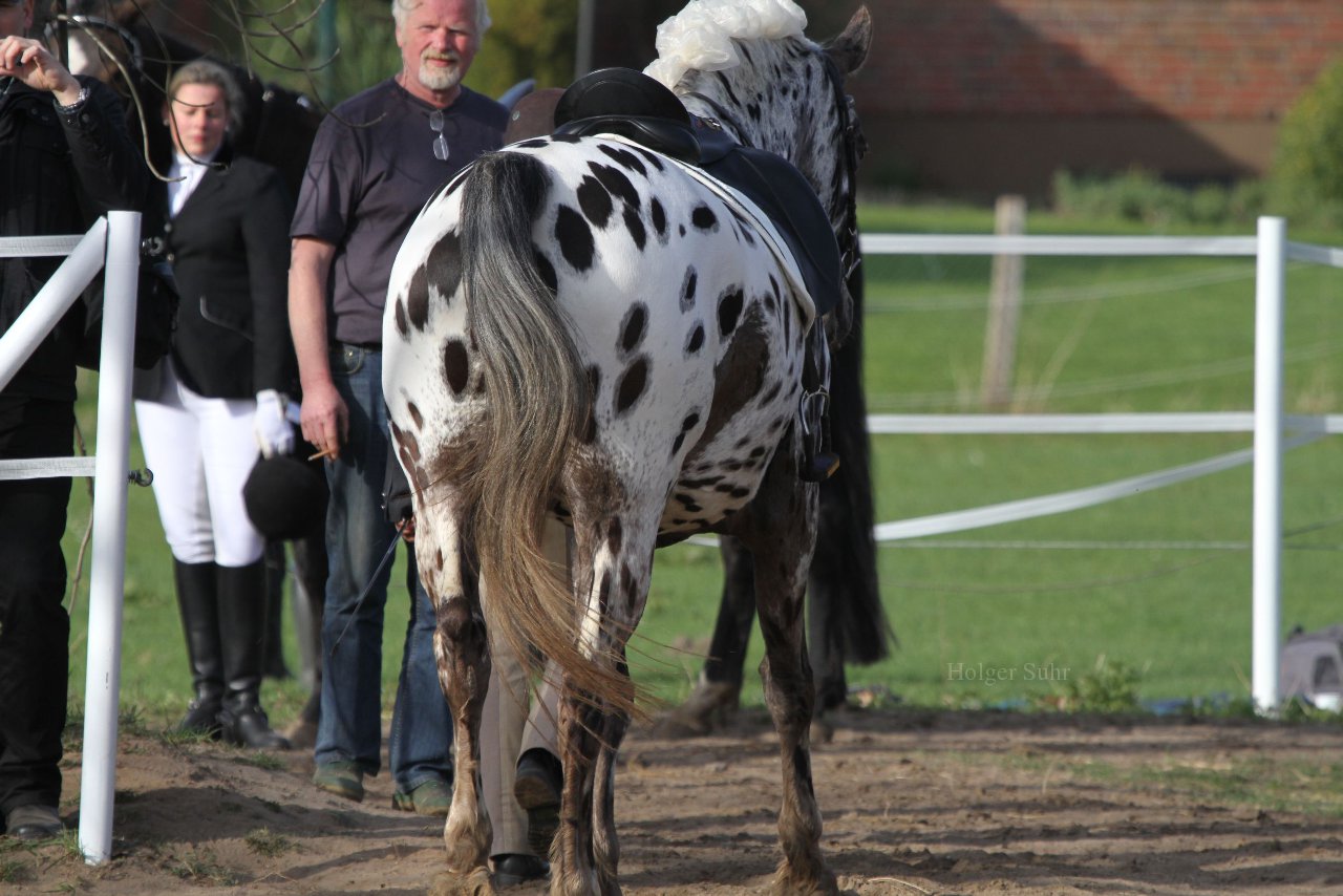 Bild 1510 - WBO-Turnier am 9.4.11